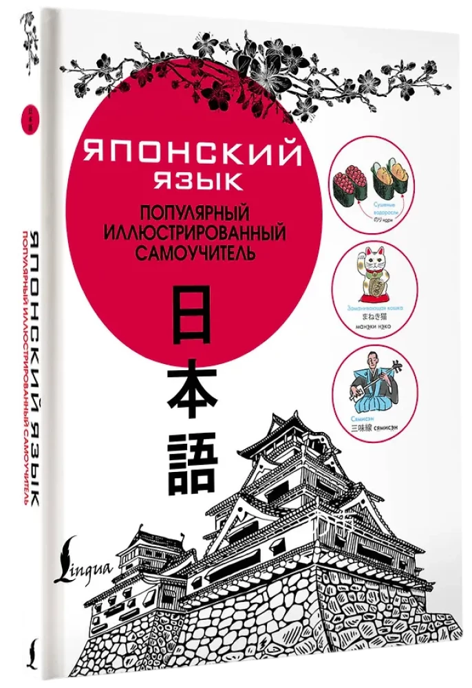 Японский язык. Популярный иллюстрированный самоучитель