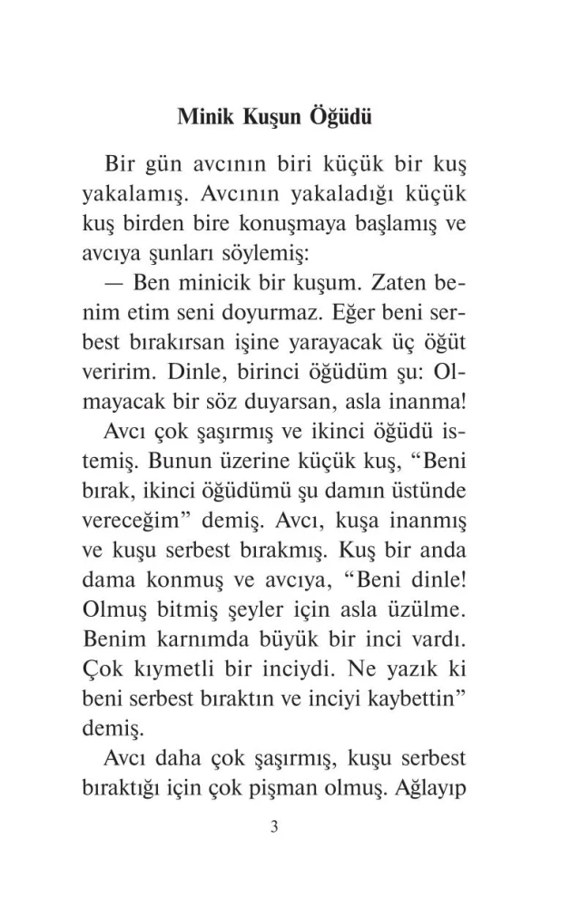 Parimad Türgi muinasjutud