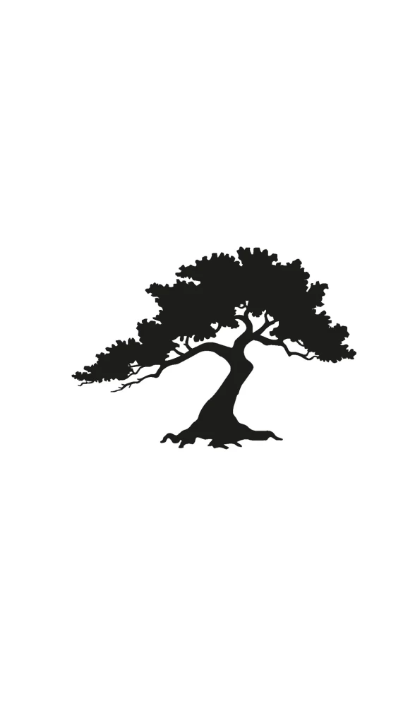 Ikigai