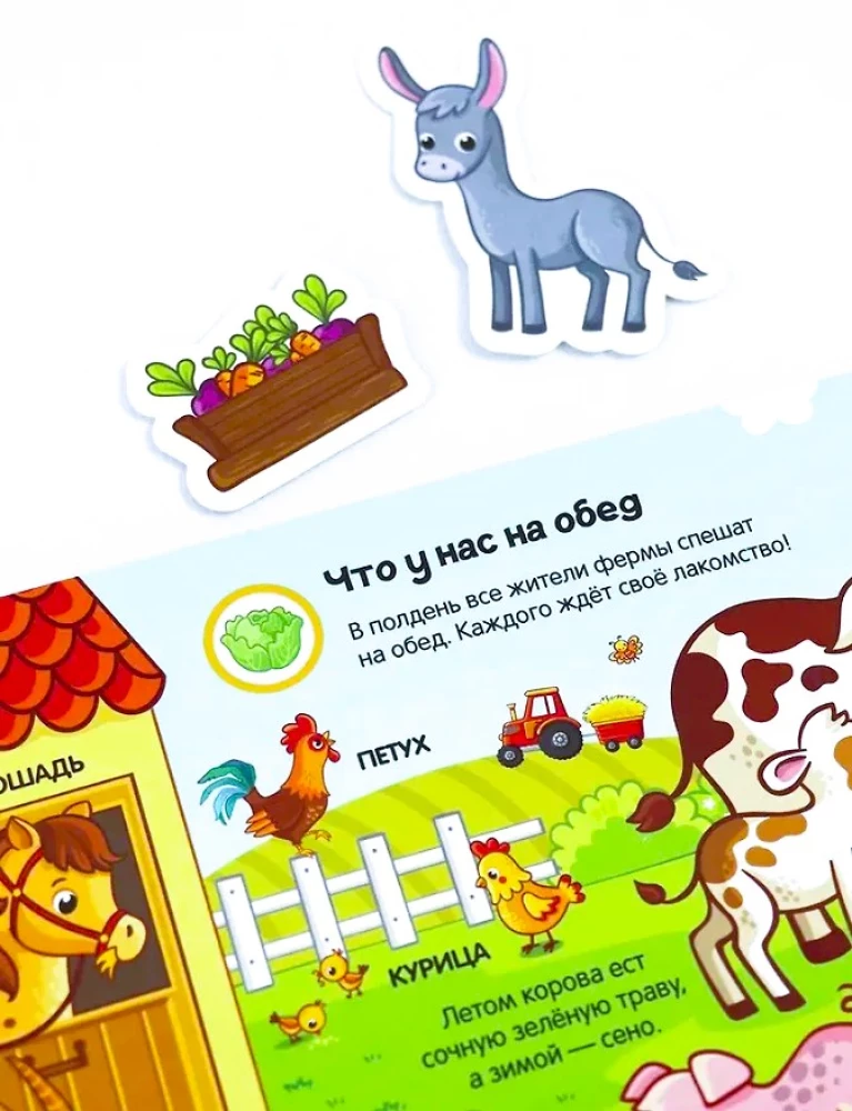 Rzepy. Kto mieszka na farmie?