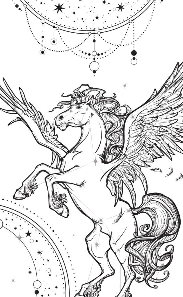 Akademia Ciemnej Krwi. Półkrwi