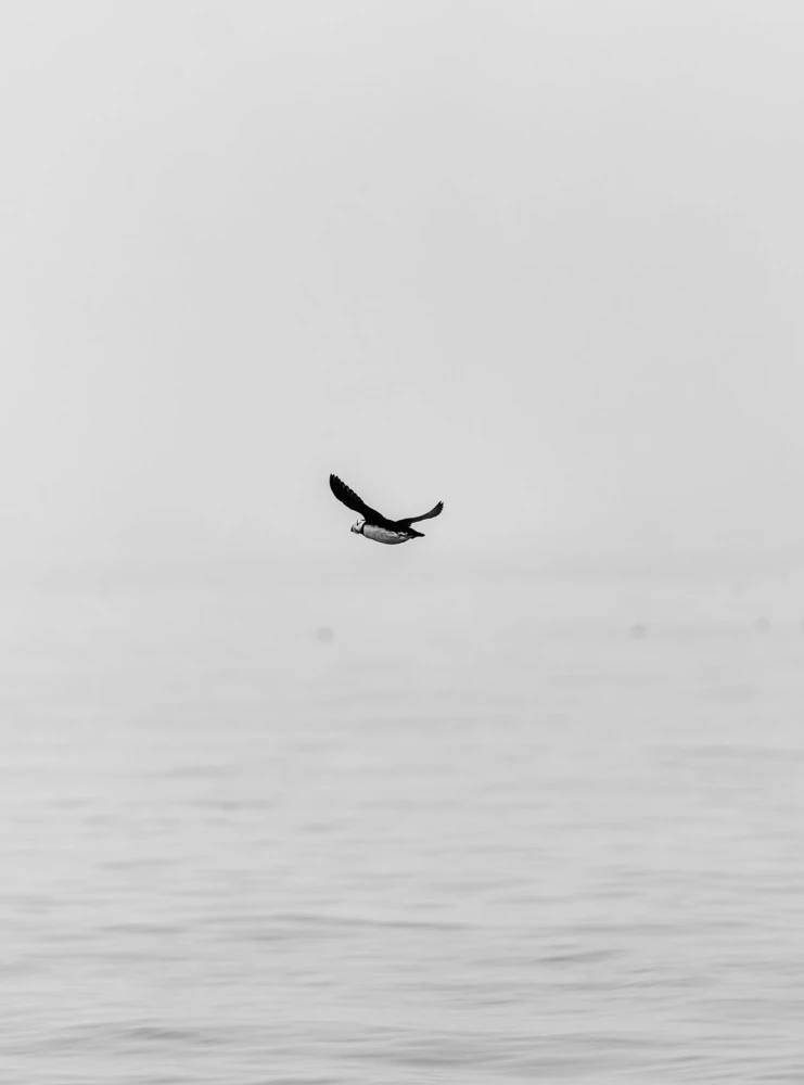 Tak różnorodny kraj. Autorski projekt fotograficzny Aleksandra Mazurowa o Rosji