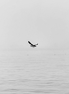 Tak różnorodny kraj. Autorski projekt fotograficzny Aleksandra Mazurowa o Rosji