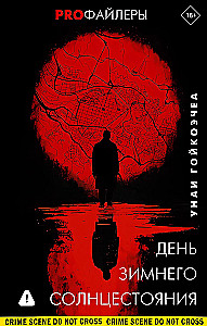 День зимнего солнцестояния