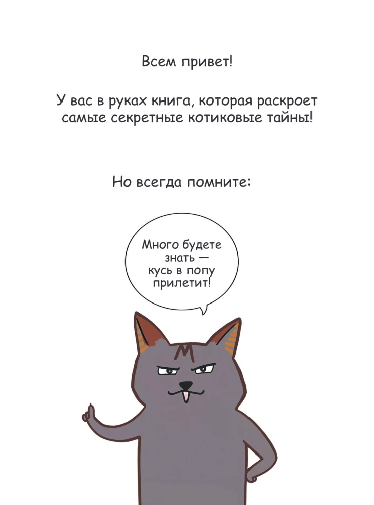 Luxus-Kotakshery: lustige Comics aus dem Leben von Katzen und ihren Menschen