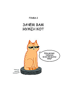 Luxus-Kotakshery: lustige Comics aus dem Leben von Katzen und ihren Menschen