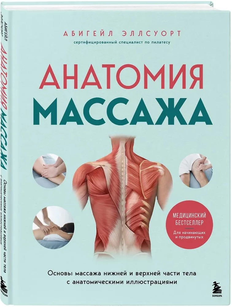 Anatomy of Massage. Basics of Massage of the Lower and Upper Body with Anatomical Illustrations