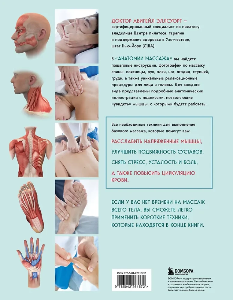 Anatomy of Massage. Basics of Massage of the Lower and Upper Body with Anatomical Illustrations
