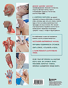 Anatomy of Massage. Basics of Massage of the Lower and Upper Body with Anatomical Illustrations
