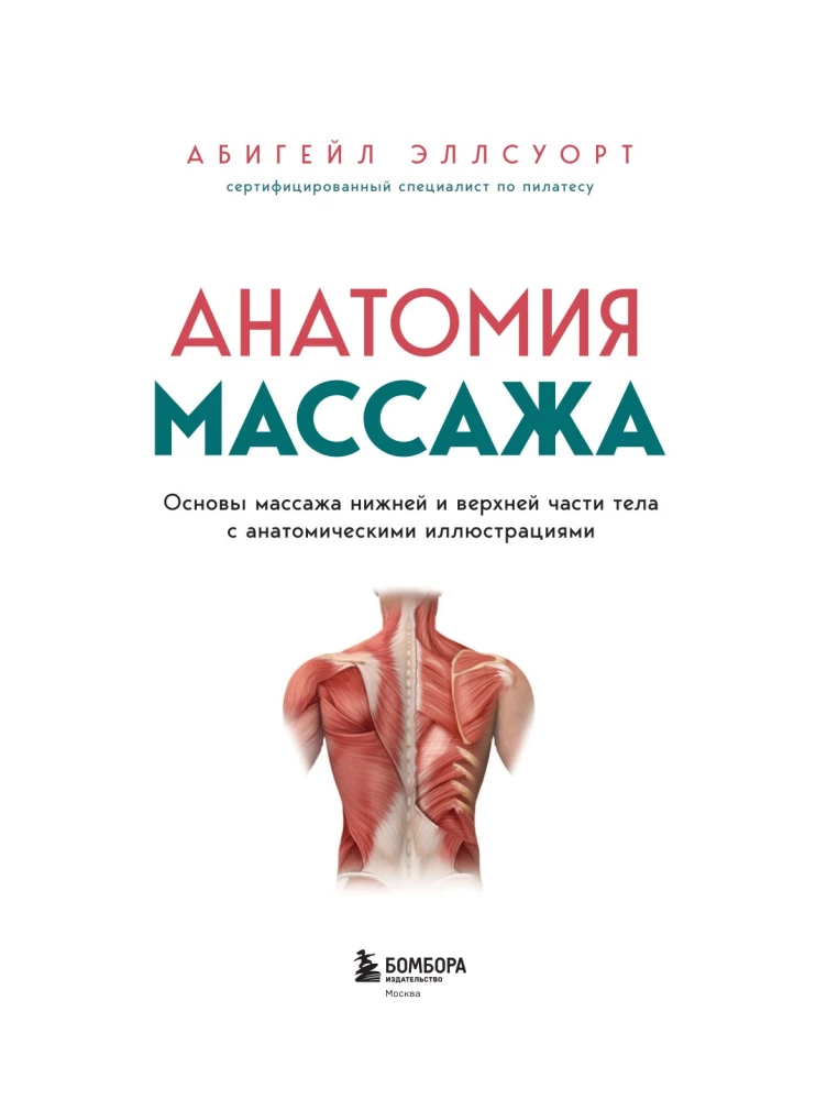 Anatomy of Massage. Basics of Massage of the Lower and Upper Body with Anatomical Illustrations