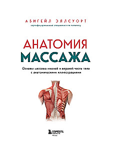 Anatomy of Massage. Basics of Massage of the Lower and Upper Body with Anatomical Illustrations