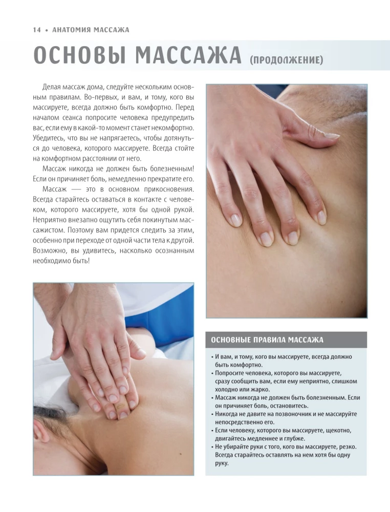Anatomy of Massage. Basics of Massage of the Lower and Upper Body with Anatomical Illustrations