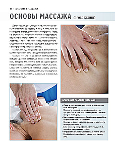 Anatomy of Massage. Basics of Massage of the Lower and Upper Body with Anatomical Illustrations