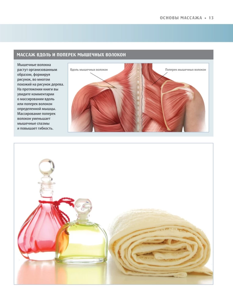 Anatomy of Massage. Basics of Massage of the Lower and Upper Body with Anatomical Illustrations