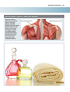 Anatomy of Massage. Basics of Massage of the Lower and Upper Body with Anatomical Illustrations