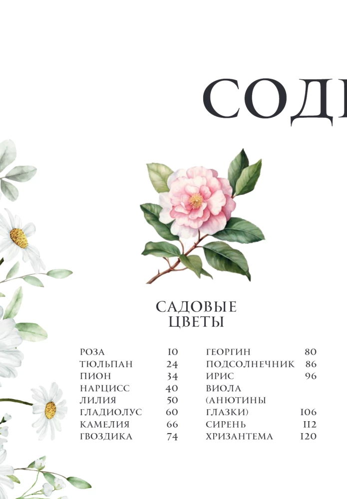 Цветы в искусстве. Воспевание красоты