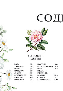 Цветы в искусстве. Воспевание красоты