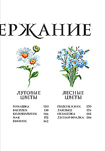 Цветы в искусстве. Воспевание красоты