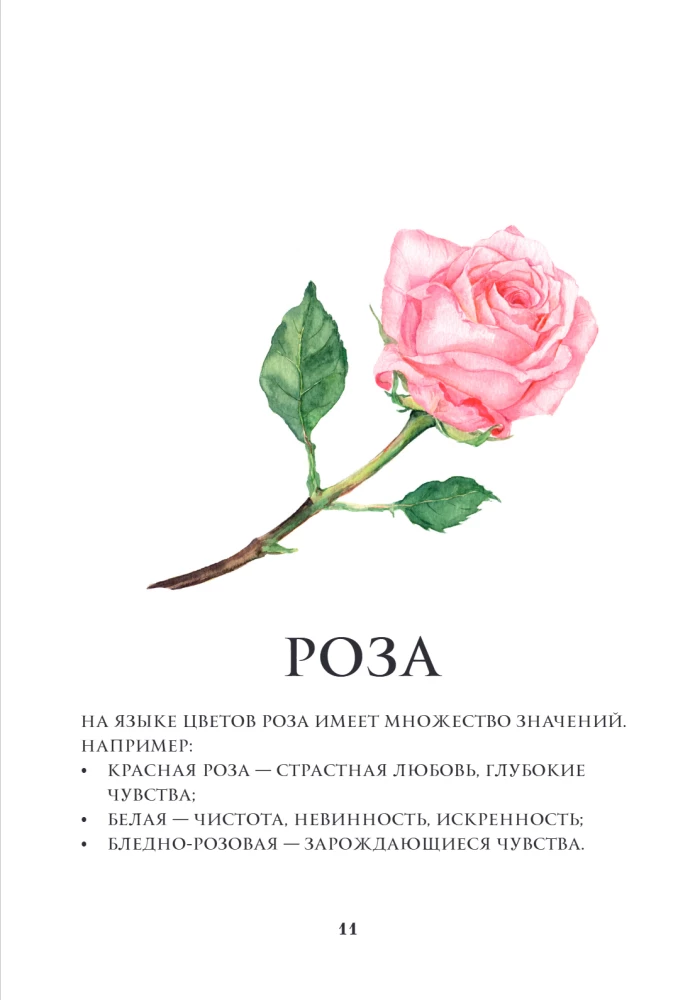 Цветы в искусстве. Воспевание красоты