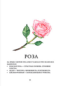 Цветы в искусстве. Воспевание красоты