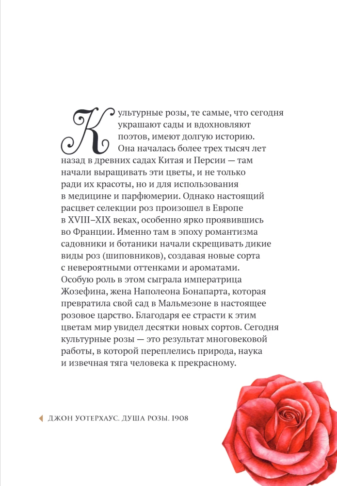 Цветы в искусстве. Воспевание красоты