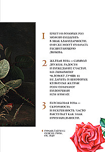 Цветы в искусстве. Воспевание красоты