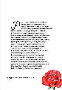 Цветы в искусстве. Воспевание красоты