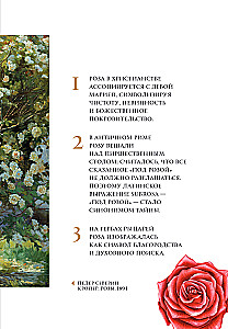 Цветы в искусстве. Воспевание красоты