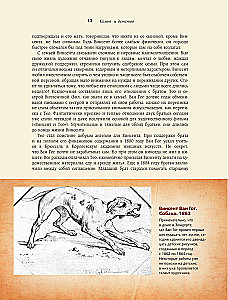 Загадочный Ван Гог