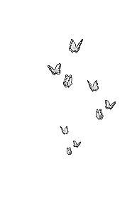 In the Captivity of a Novel