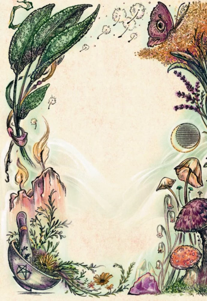 Зеленая ведьма. Колода-оракул. Откройте для себя силу и мудрость природной магии (50 карт и руководство)