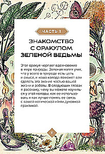 Зеленая ведьма. Колода-оракул. Откройте для себя силу и мудрость природной магии (50 карт и руководство)