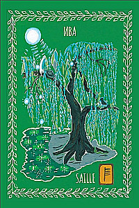 Magiczne karty druidów. Zielona magia dla ochrony i przepowiedni. Talia Awen