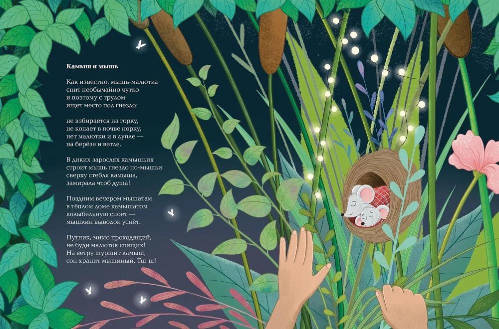 Insekty. Wiersze o owadach i myszach