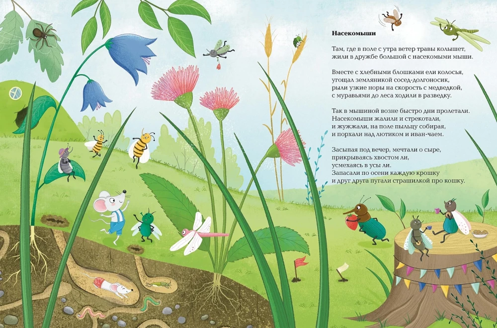 Insekty. Wiersze o owadach i myszach