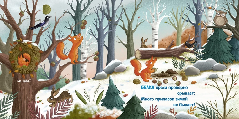 Зима в лесу