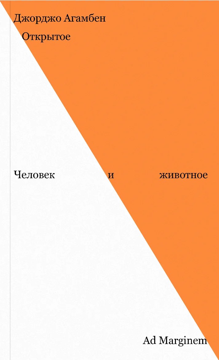 Открытое. Человек и животное