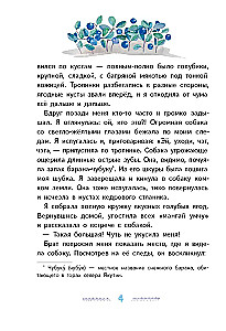 Игра в камешки