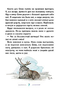Игра в камешки