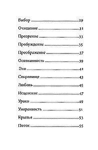 Orakel Rumi. Dringe in das Herz deines Schicksals ein. 50 Karten-Botschaften