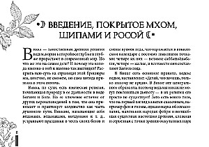 Wiccan Tarot by Arabo Sargsyan (78 cards + booklet)