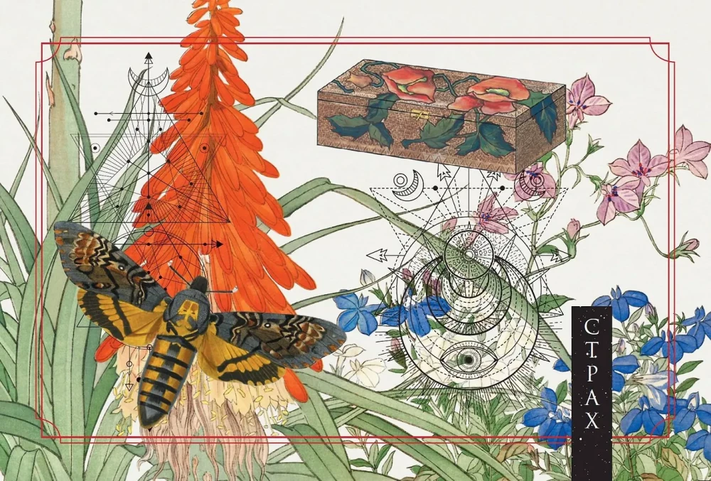 Roheline metsamaagia. Nõiakaarte (50 kaarti)