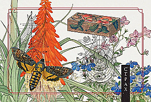 Roheline metsamaagia. Nõiakaarte (50 kaarti)