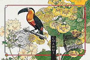 Roheline metsamaagia. Nõiakaarte (50 kaarti)