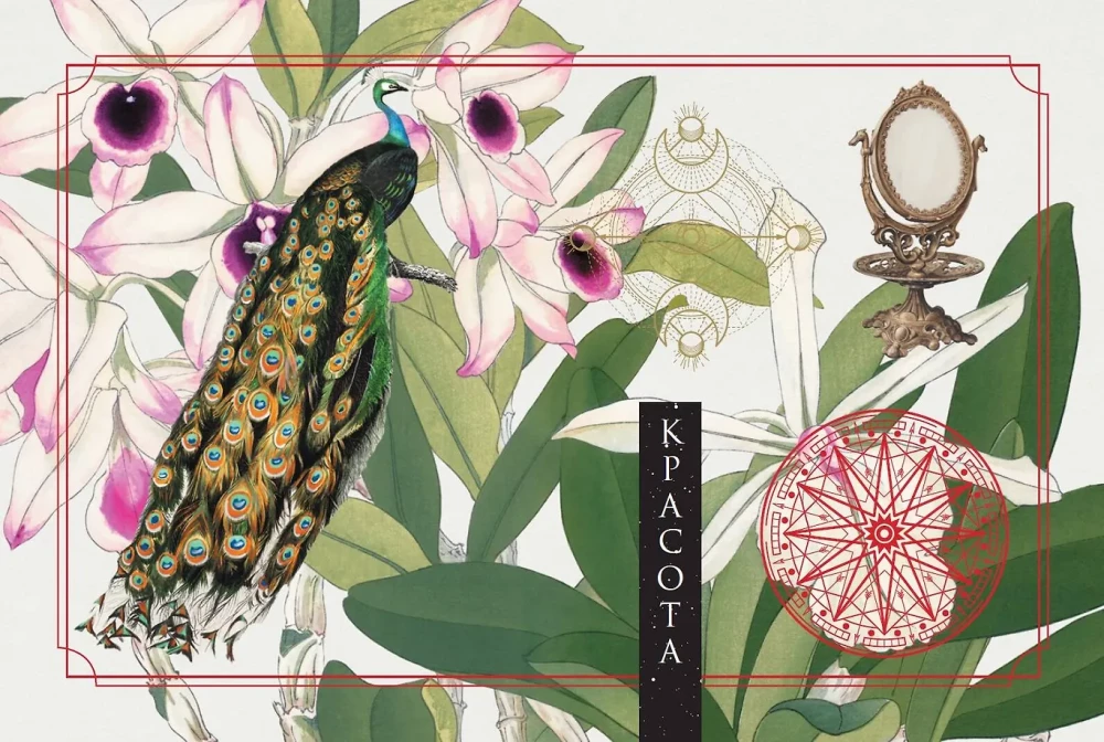 Roheline metsamaagia. Nõiakaarte (50 kaarti)