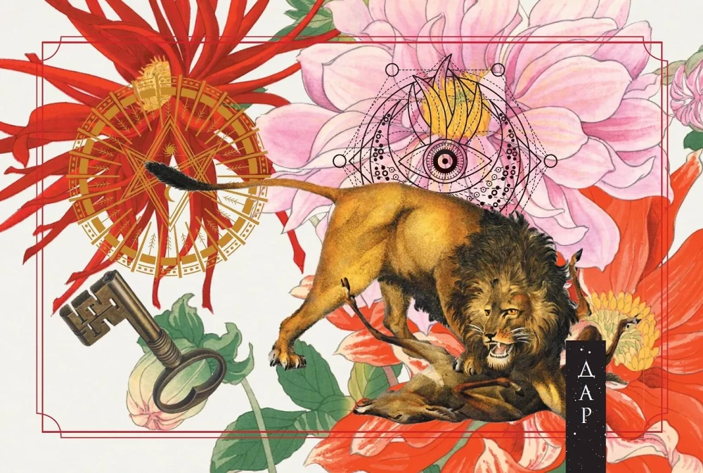 Roheline metsamaagia. Nõiakaarte (50 kaarti)