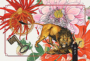 Roheline metsamaagia. Nõiakaarte (50 kaarti)