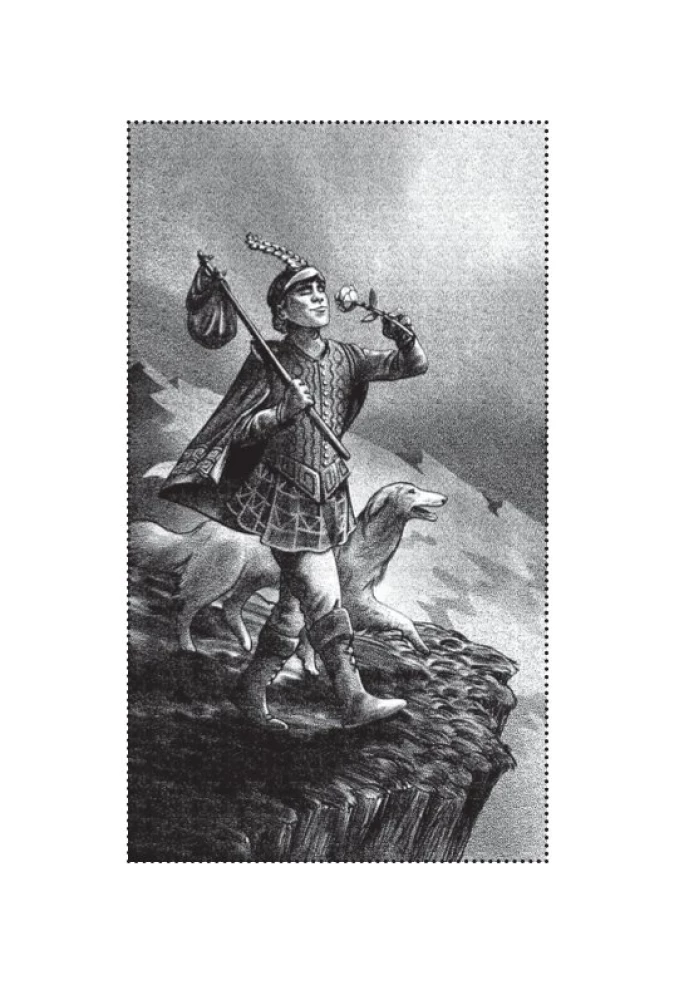 Сумерки Таро (78 карт и руководство в коробке)