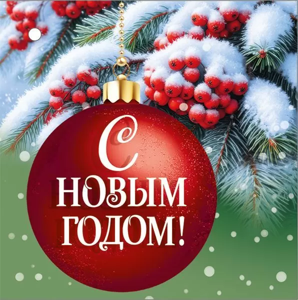 Silt - Head uut aastat!, valikus