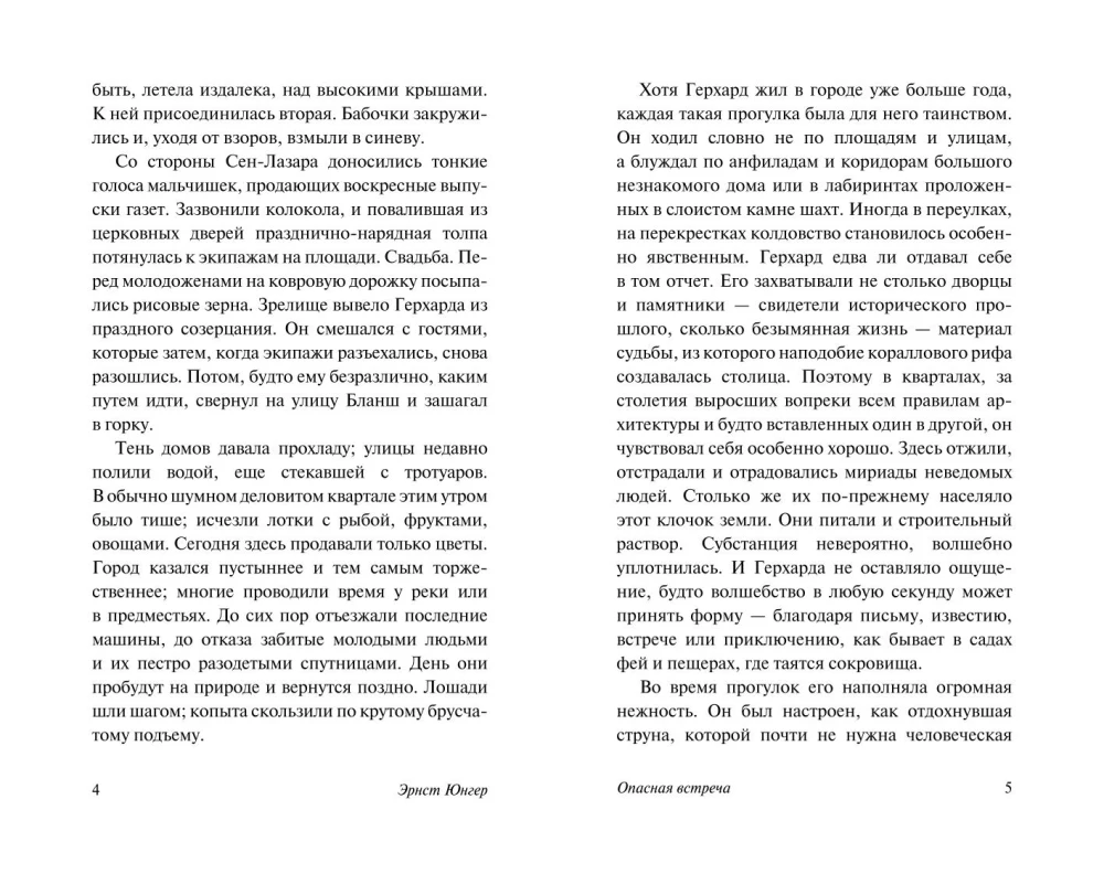 Опасная встреча